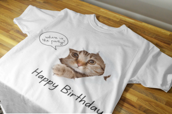 Customized Cat Lover Birthday T-Shirts – Celebrate Every Moment in Style 2025